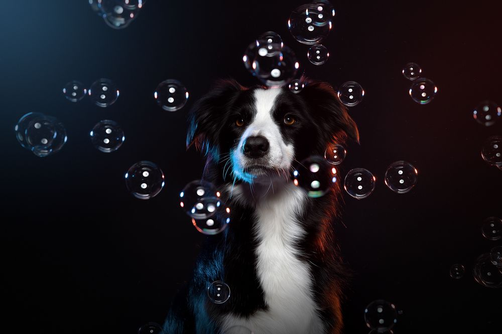 Photograph by Светлана Писарева