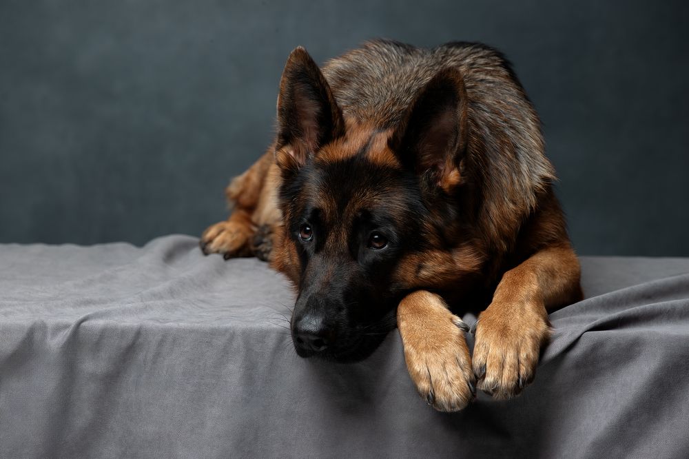 Photograph by Светлана Писарева