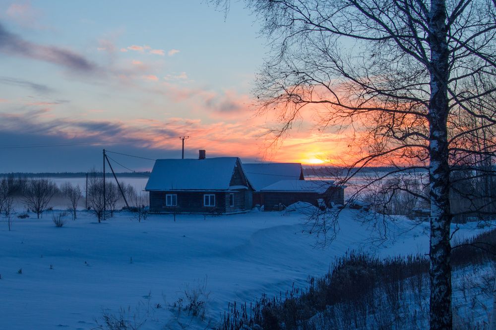 Фотография автора Нина Шкляр
