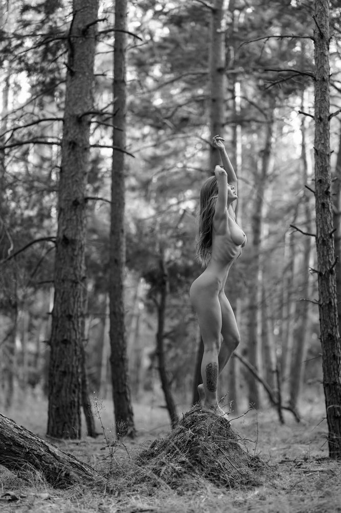 Photograph by Hakob Kalashyan