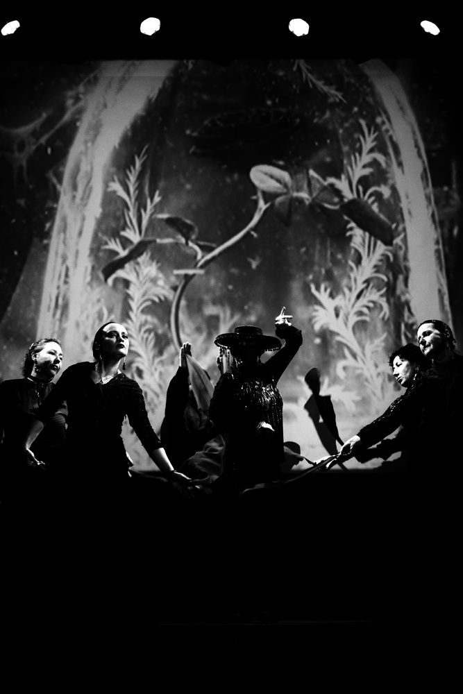 Photograph by Александр Кочергин