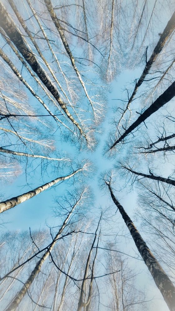 Photograph by Елена Кошелева