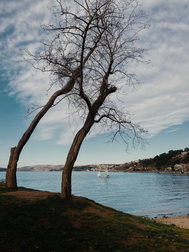 Photograph by Mehmet Neset Turgut