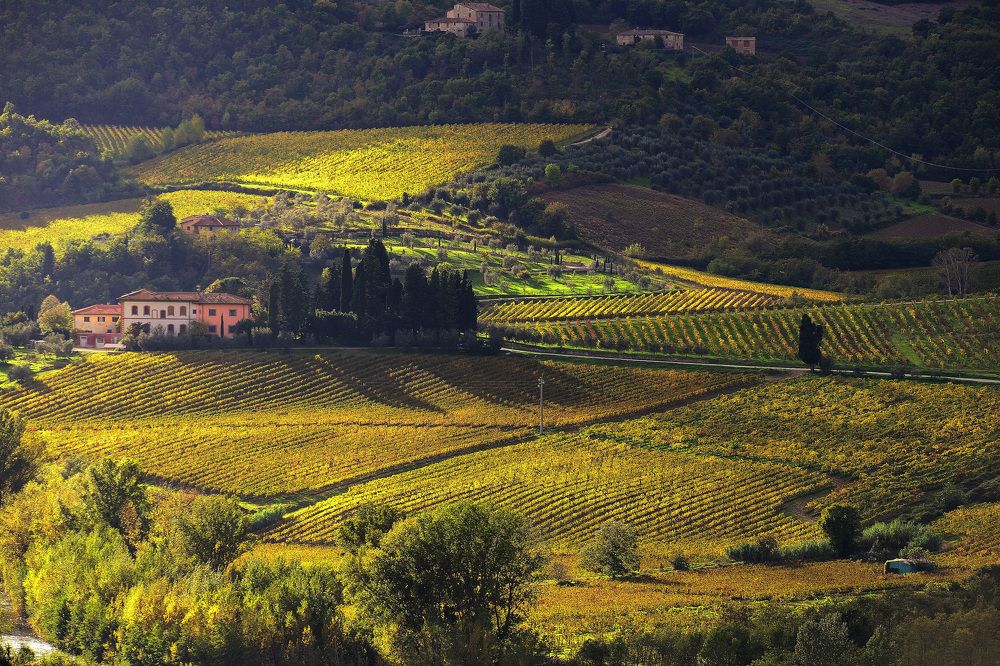 Photograph by Paolo Mola