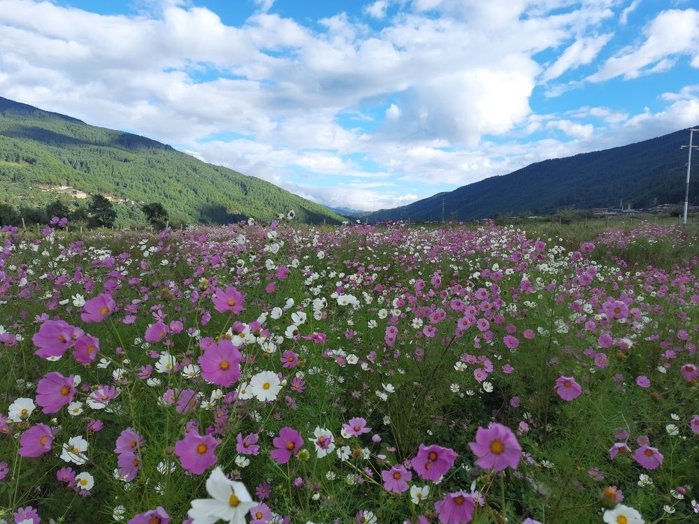 Photograph by Chandra Rai