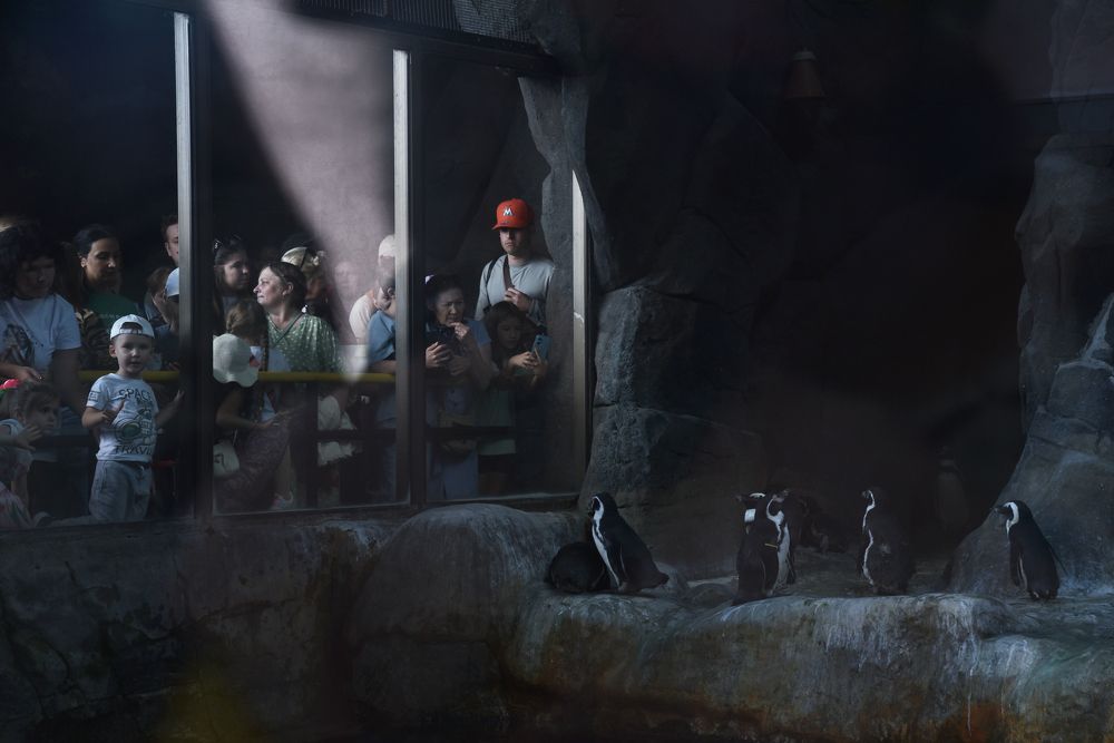 Фотография автора Коротков Алексей