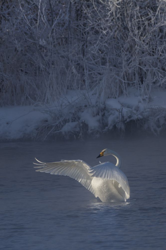Photograph by Евгений Санин