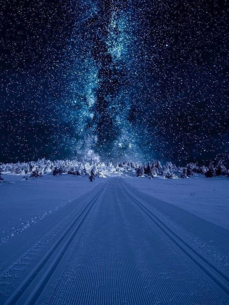 Photograph by Артём Эбергардт