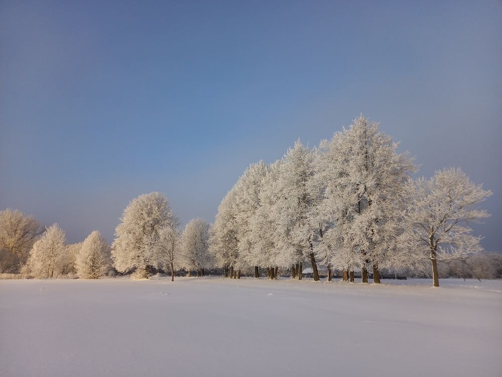 Photo #10191426