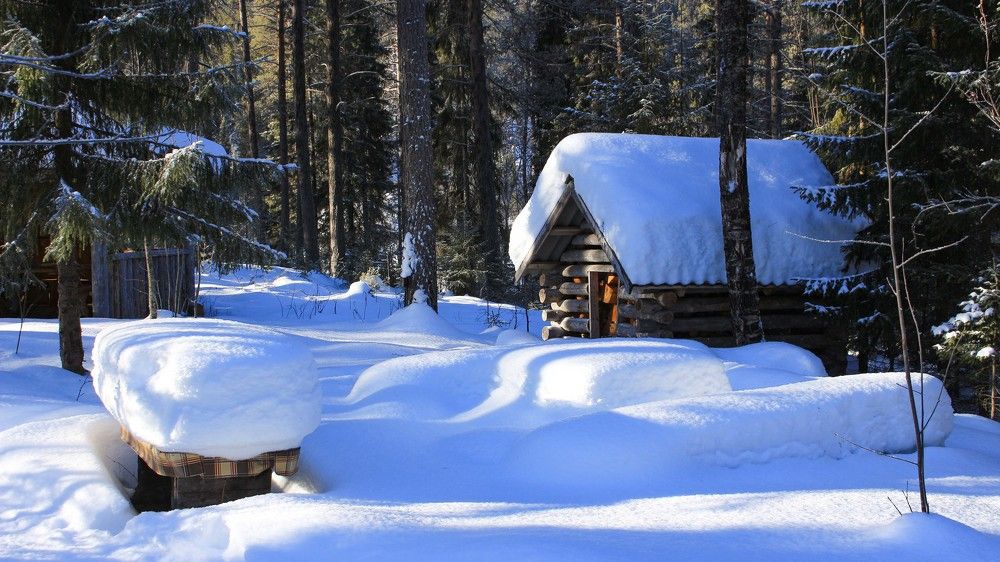 Фотография автора Александр Довганюк