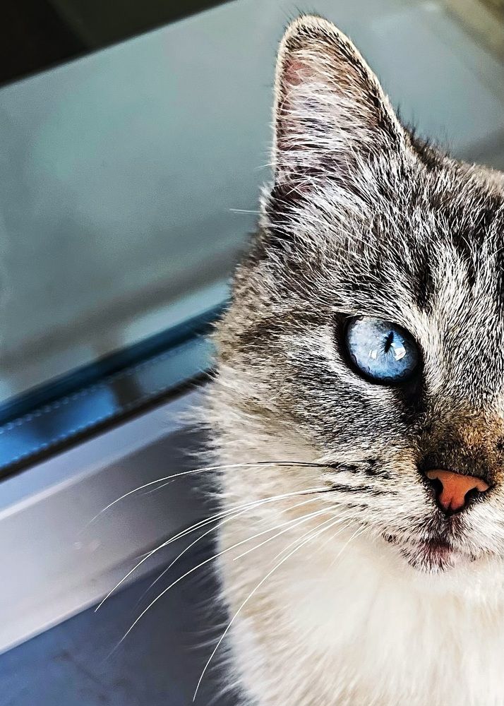 Фотография автора Дарья