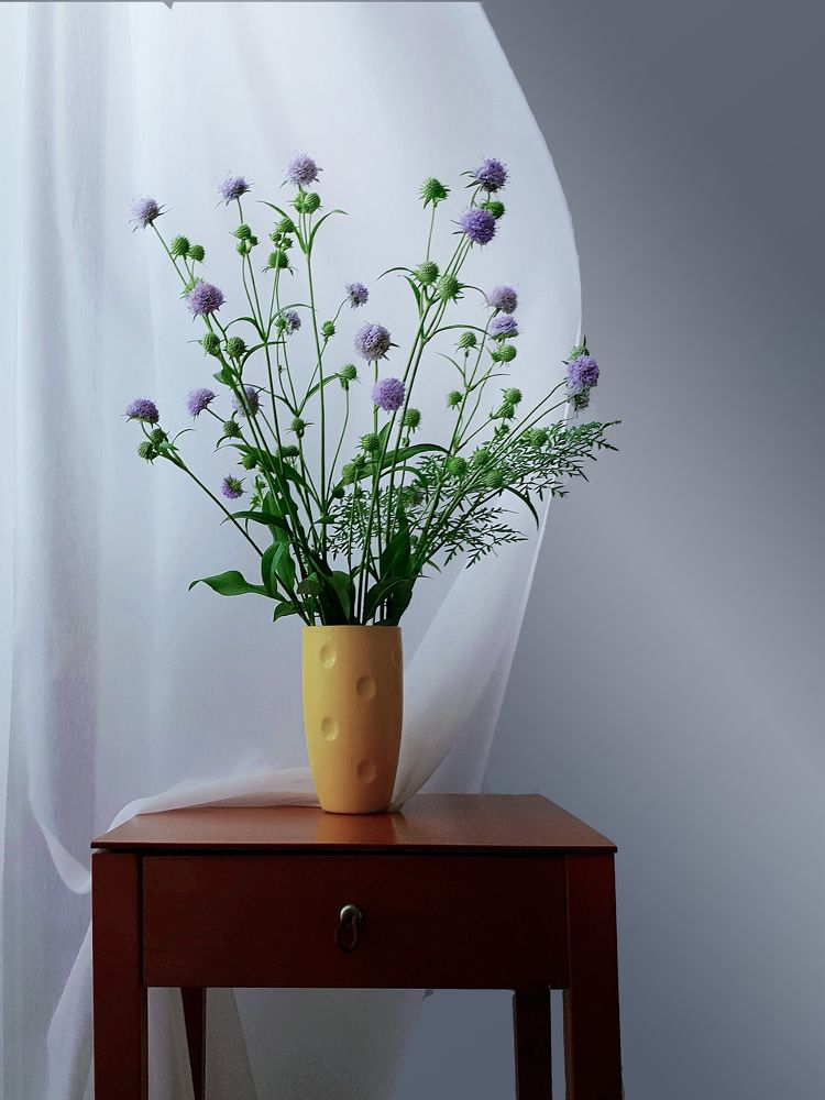 Полевые цветы