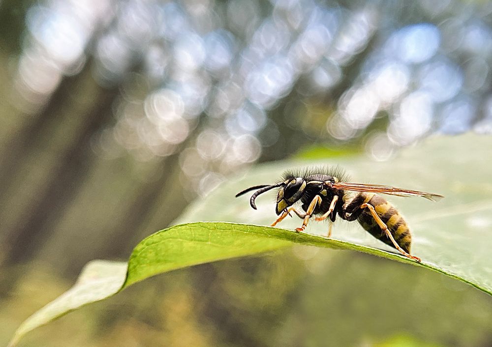 Photograph by Любовь Козлова