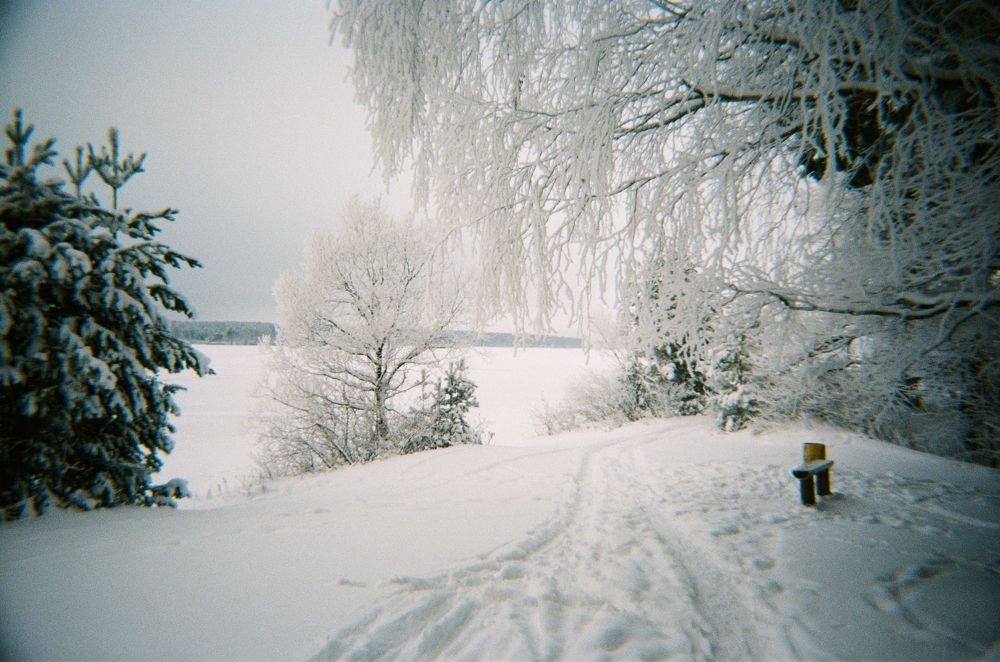 Фотография автора Коротков Алексей