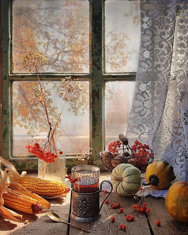 Фотография автора Инга Шевелёва