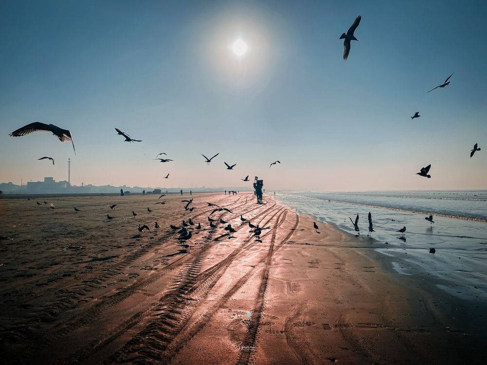 Photograph by Mayur sonani