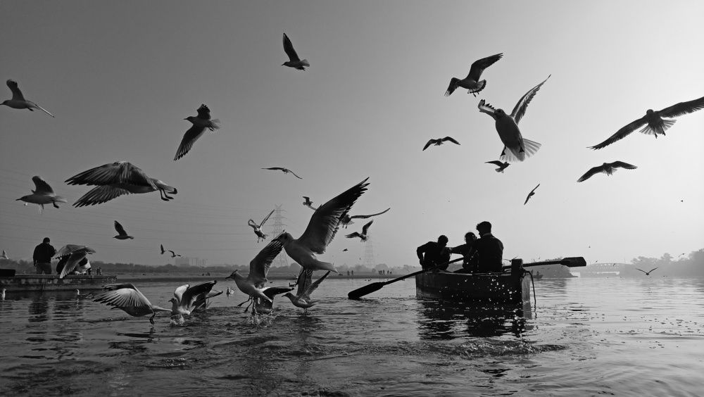 Фотография автора sachin gaurav