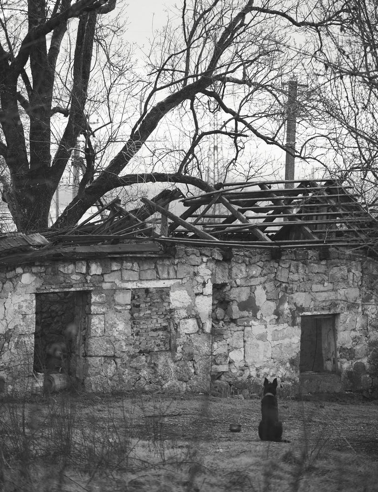 Фотография автора CIX Empire