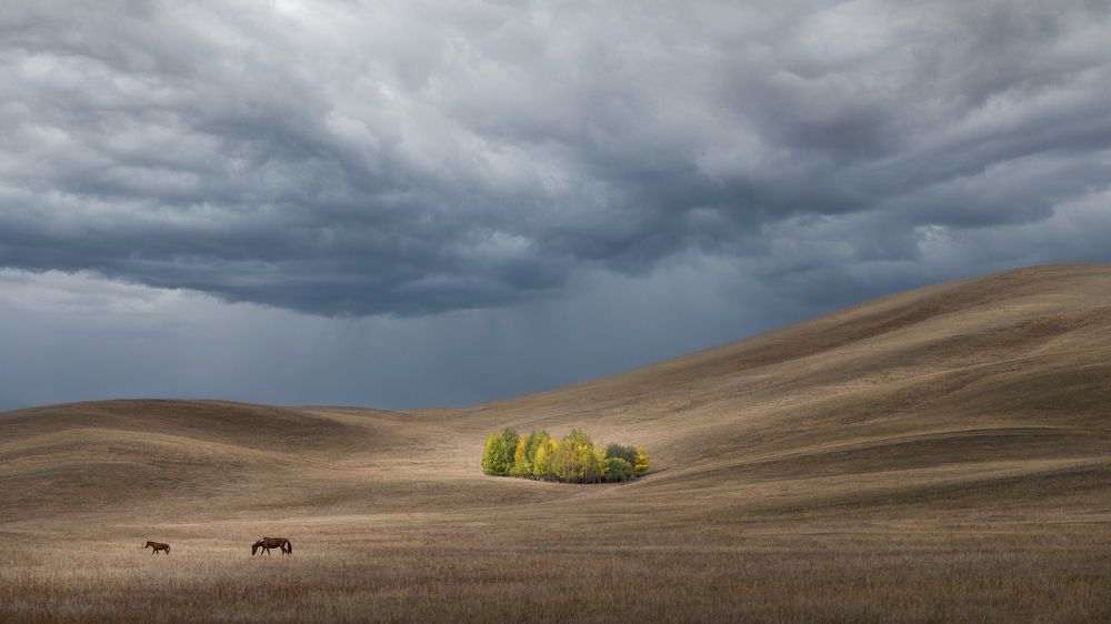 Photograph by Евгений Иванов