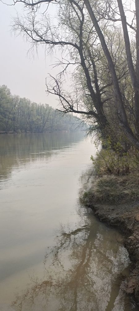Photograph by Эльдар Белый