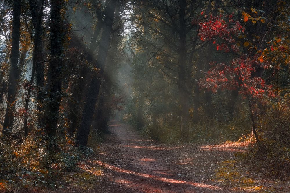 Photograph by nataliya kharchenko