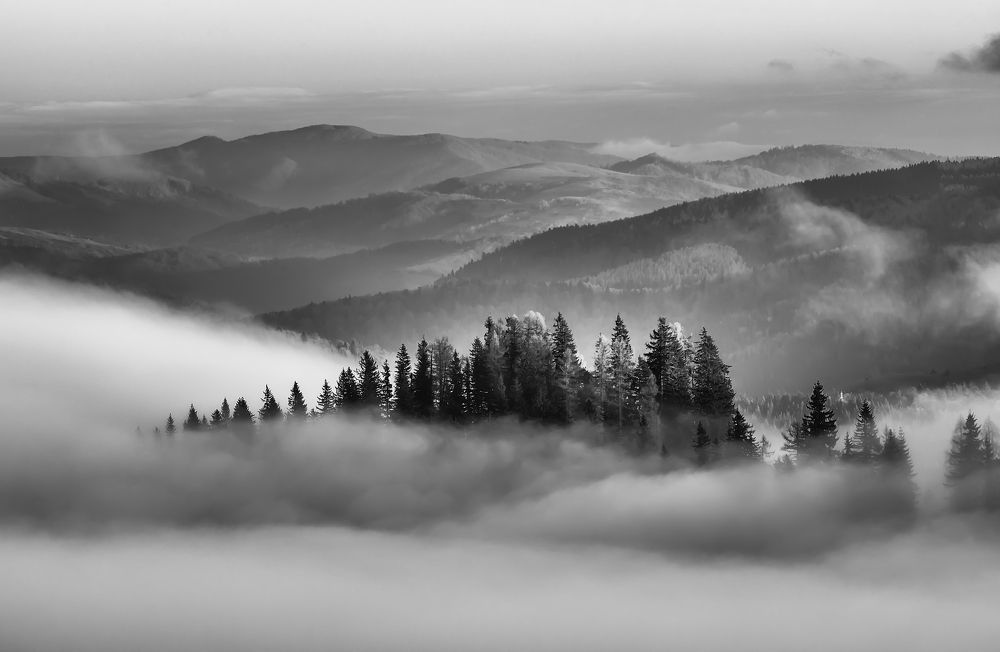 Photograph by Negulescu Mircea