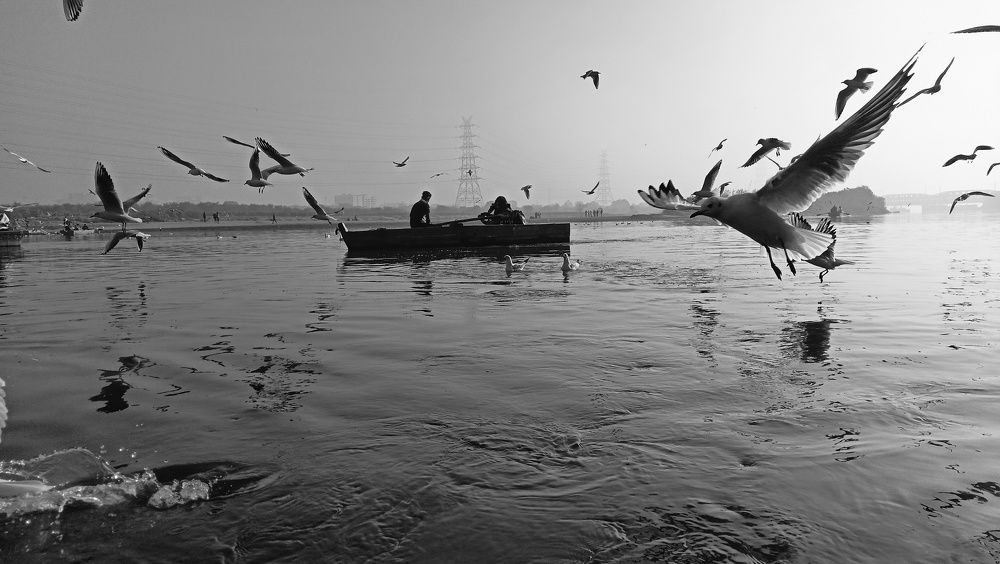 Фотография автора sachin gaurav