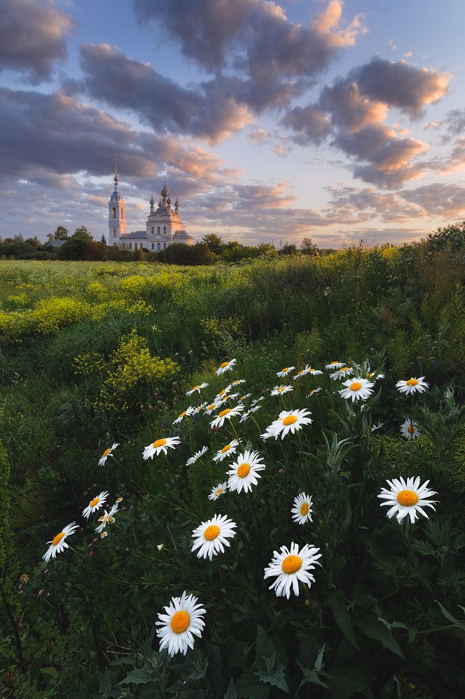 Photograph by Иван Чаланов