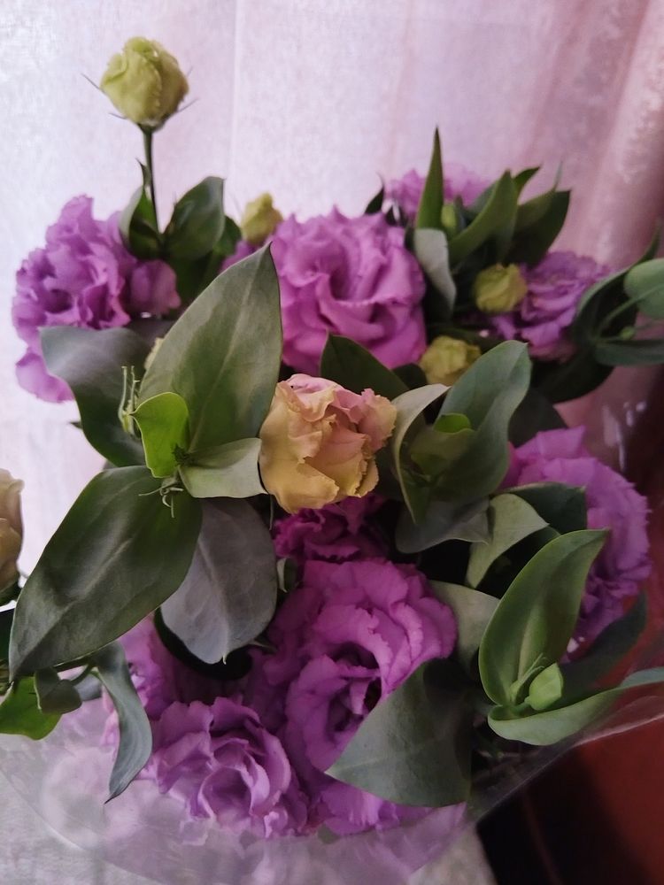 Photo #10192237