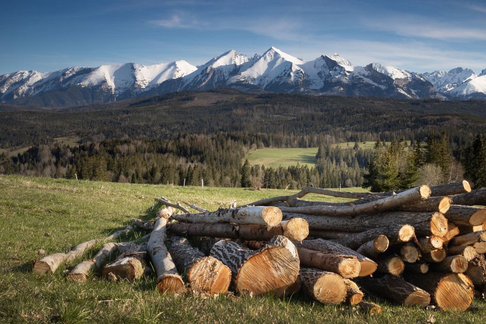 Photograph by Яна