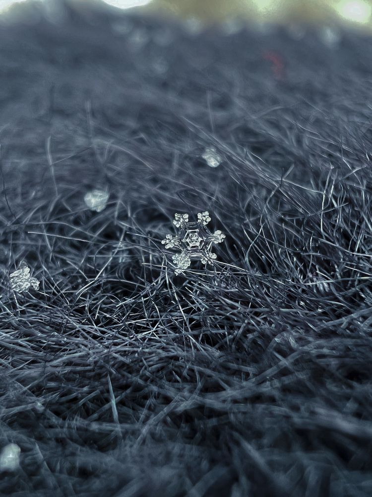 Photograph by Elvira