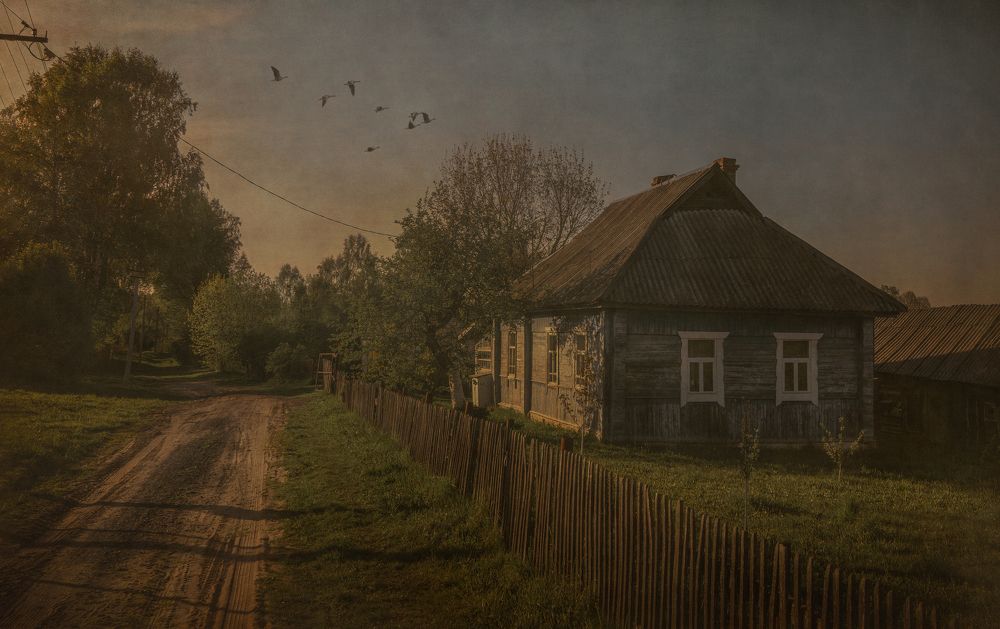 Photograph by Юлия Горбунова