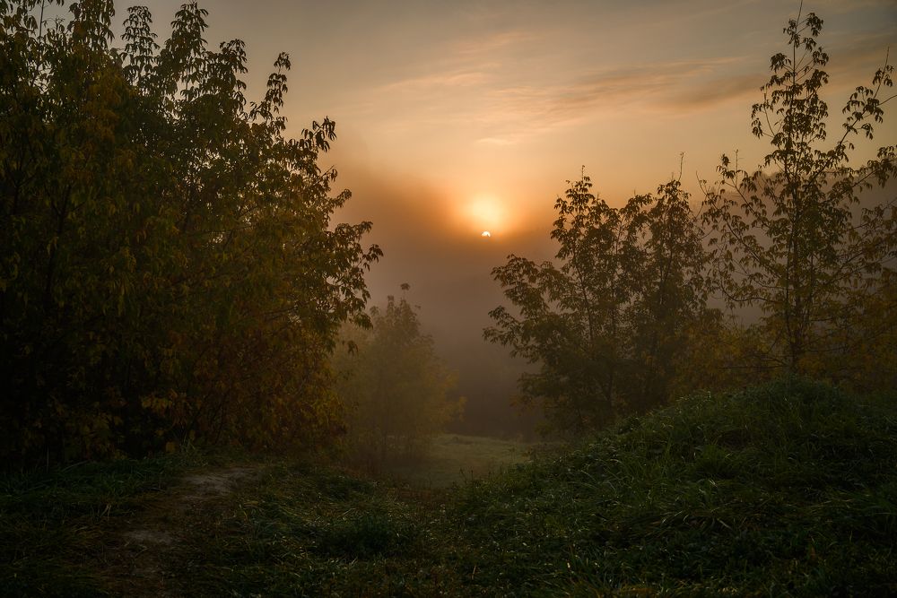 Photograph by Кирилл Никонов