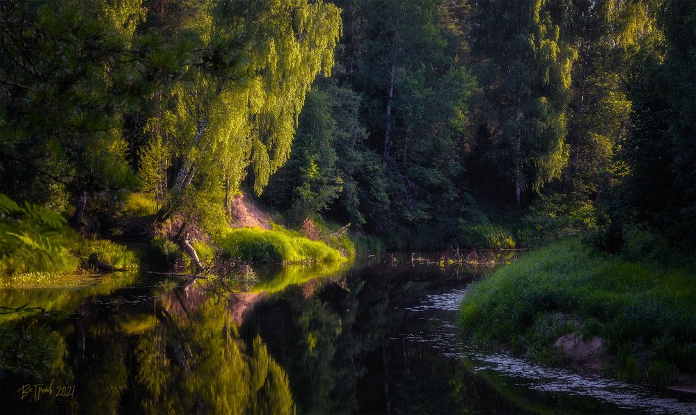Фотография автора Владимир