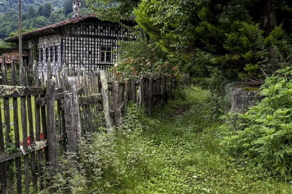 Фотография автора Aylin Turnator