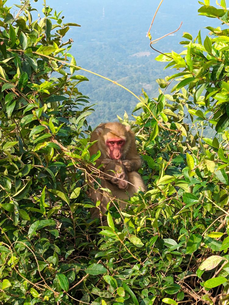 Photograph by Sajibul islam