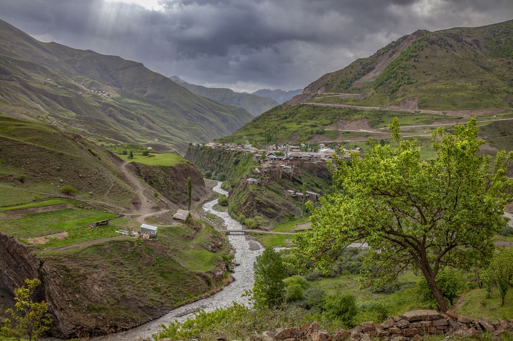 Photograph by Lavskaya Elena