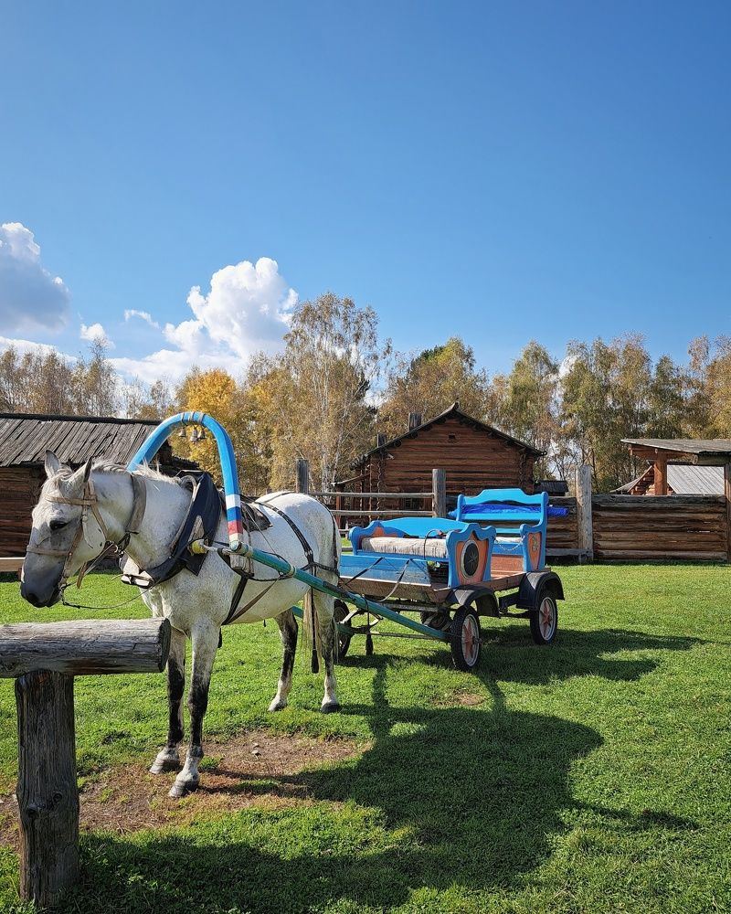 Photograph by Оксана Юдина