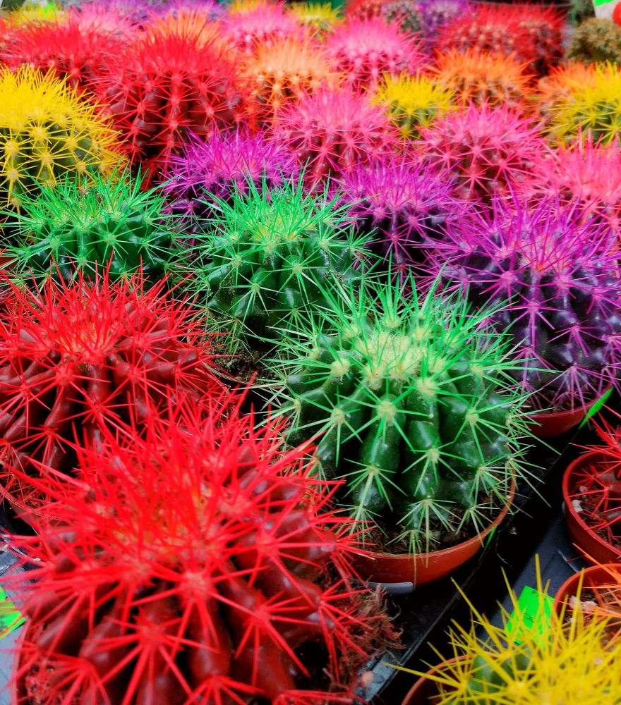 Photograph by Юлія Гацко