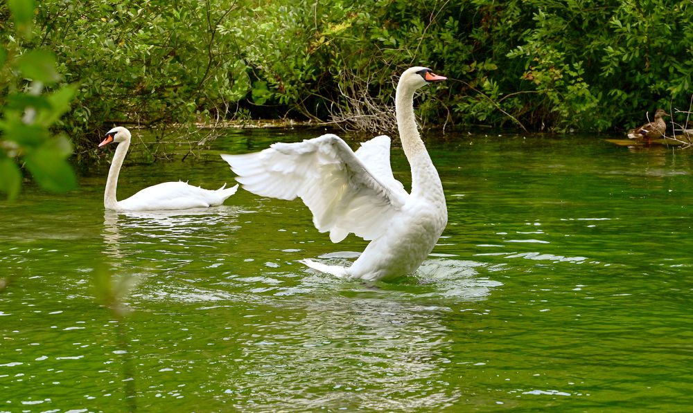 Photograph by Сверидов Андрей