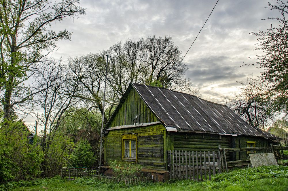 Photograph by 