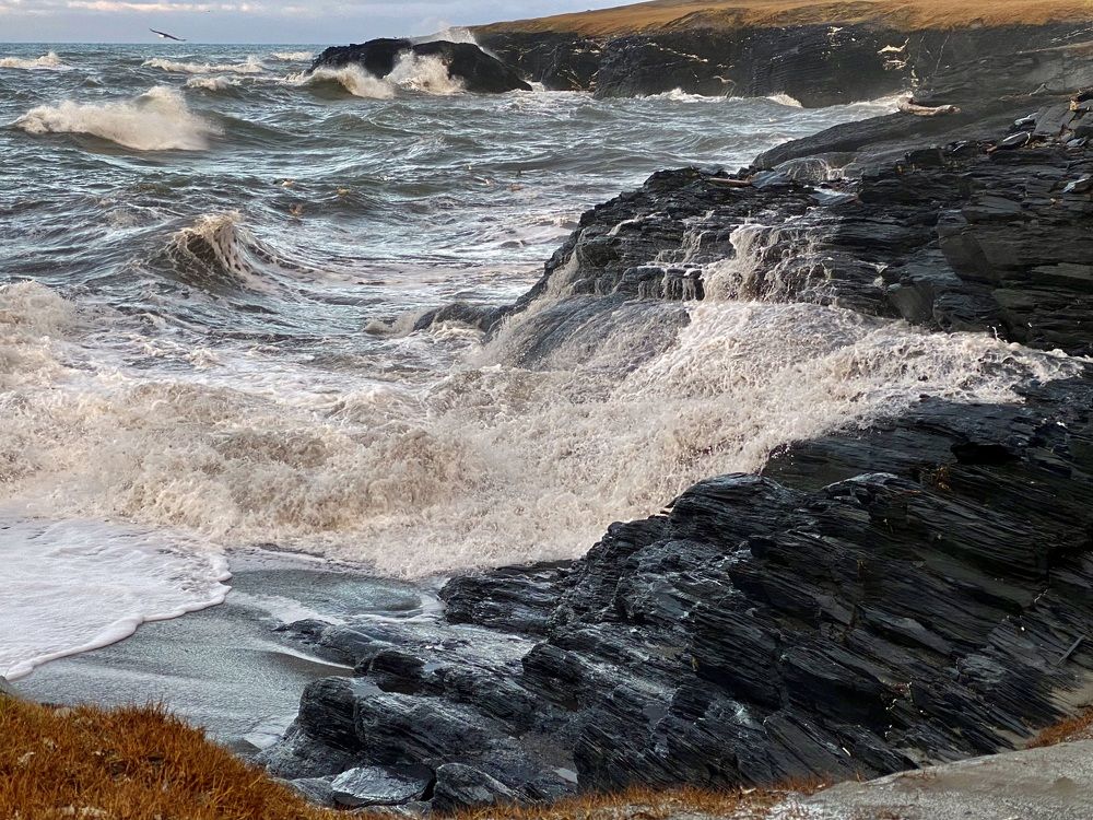 Photograph by Ирина Коваль