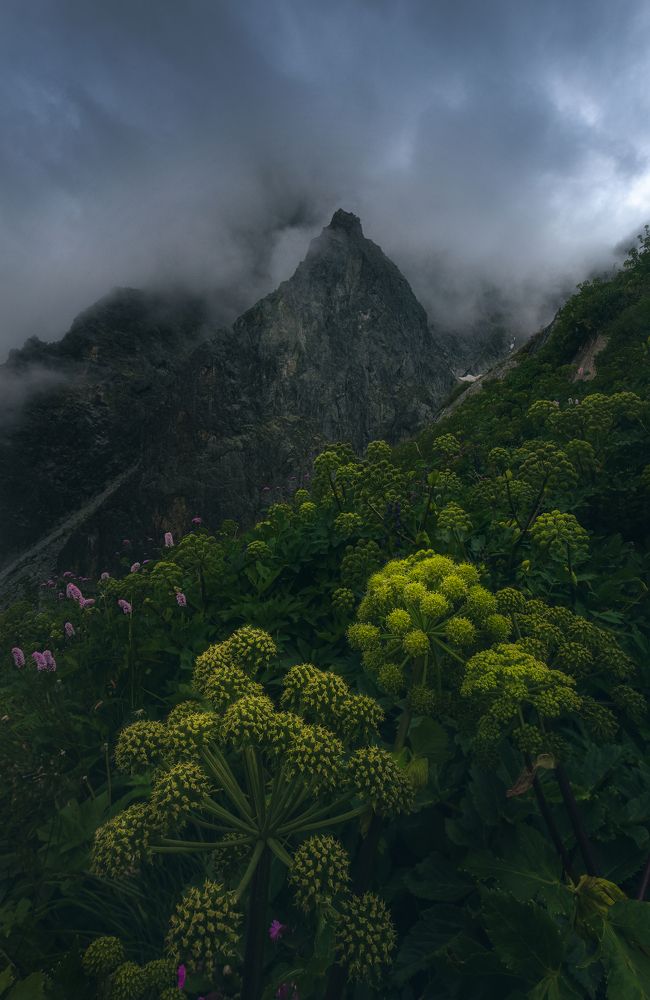 Фотография автора Adam Nedojedlý