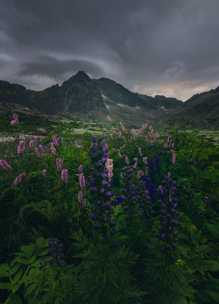 Фотография автора Adam Nedojedlý