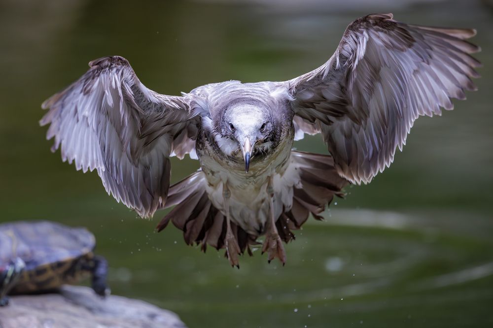 Photograph by Benny Chan