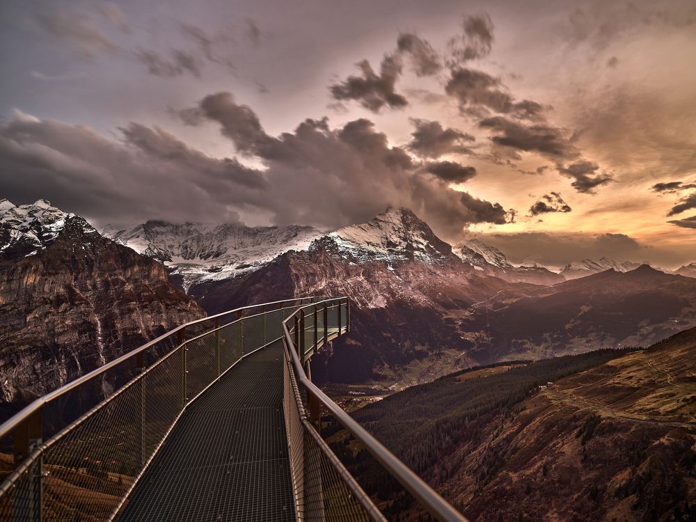 Photograph by Felix Ostapenko