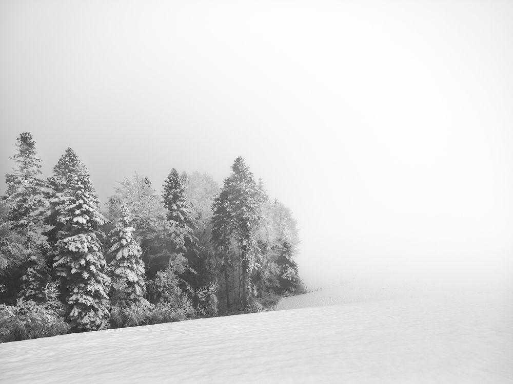 Photograph by Felix Ostapenko