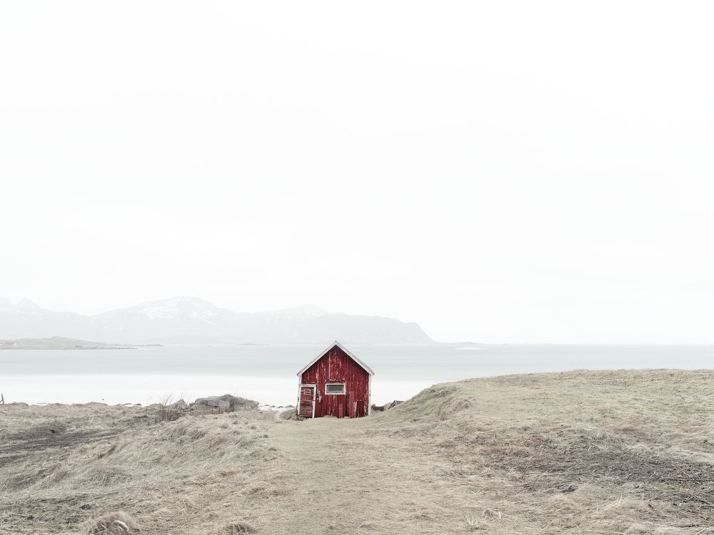 Photograph by Felix Ostapenko