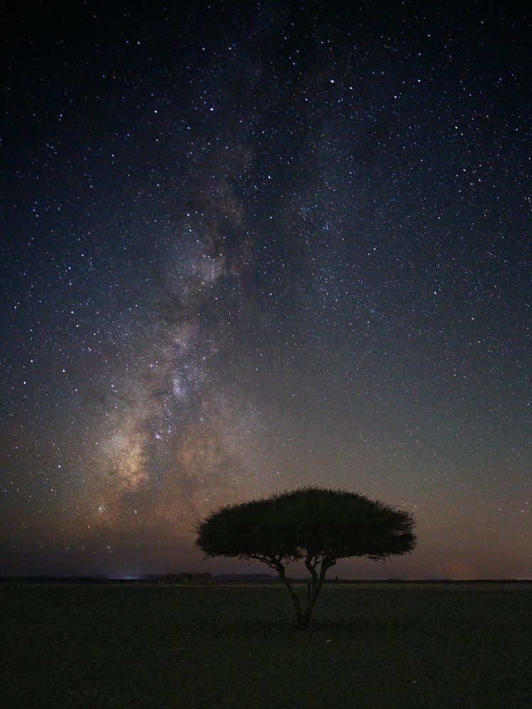 Photograph by Felix Ostapenko