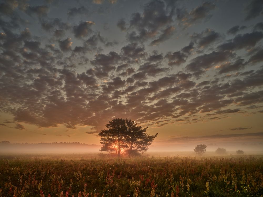 Photograph by Felix Ostapenko